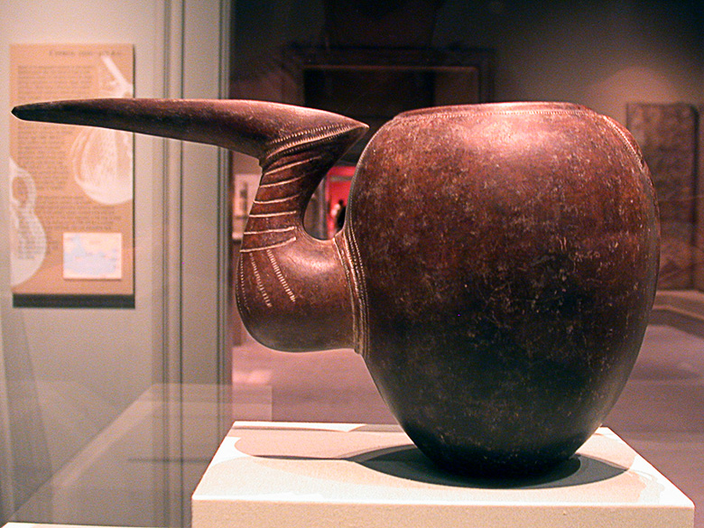 Beaked Pitcher
